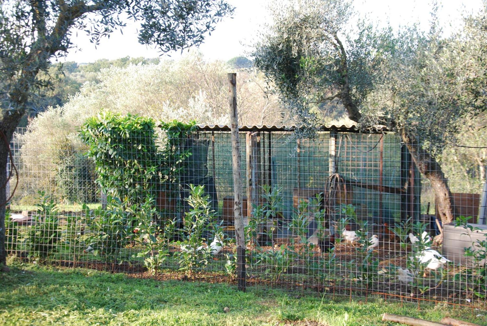 Casa Acquabianca